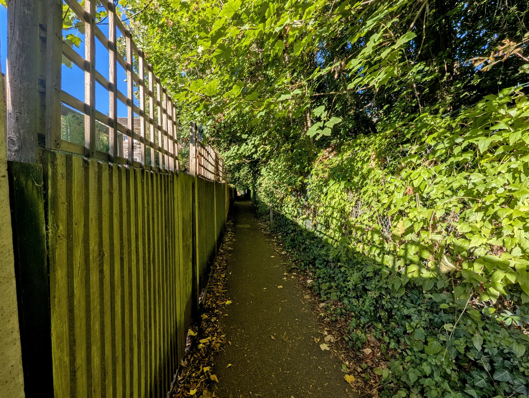 Green pedestrian shortcut behind Sparkford Close in daylight
