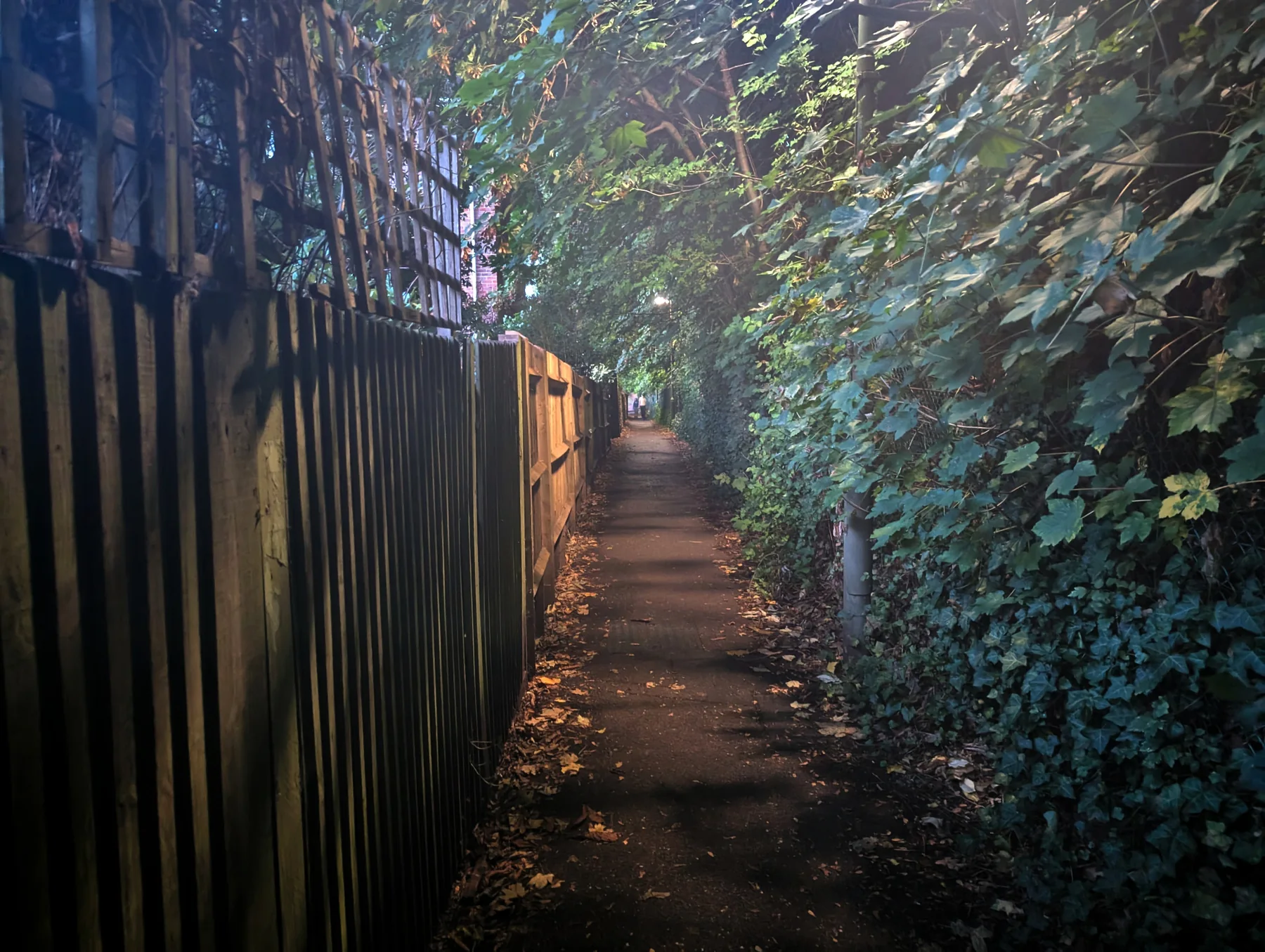 Lit pedestrian shortcut behind Sparkford Close after dark