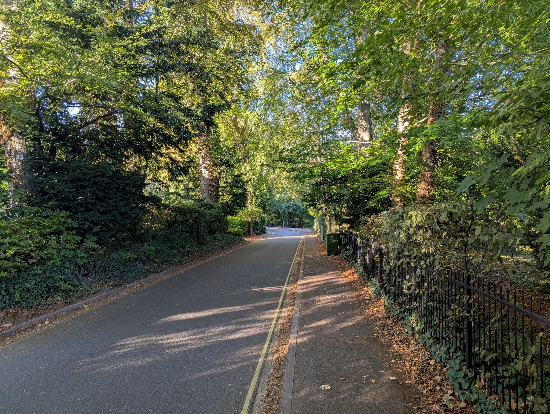 Tree-lined road near Sparkford Close
